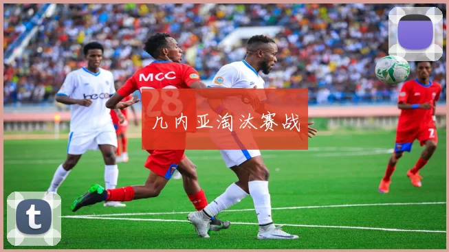 几内亚淘汰赛战