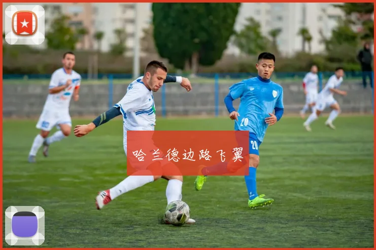 哈兰德边路飞翼