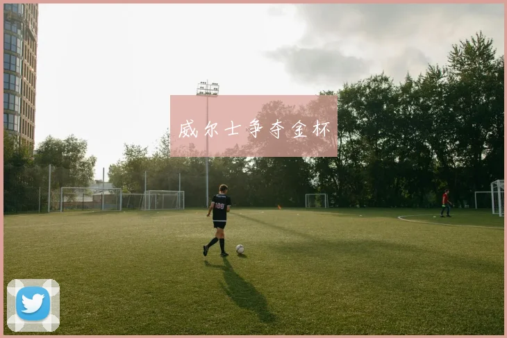威尔士争夺金杯